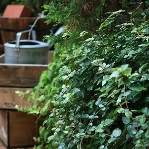 *** Hotel Garden Giappone